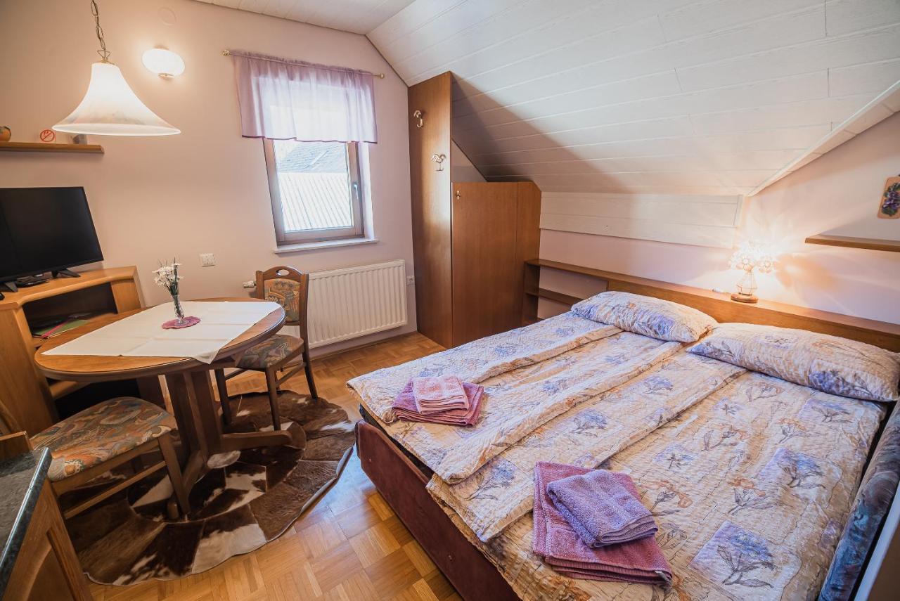 Homestay Kocka Zgornje Jezersko Esterno foto