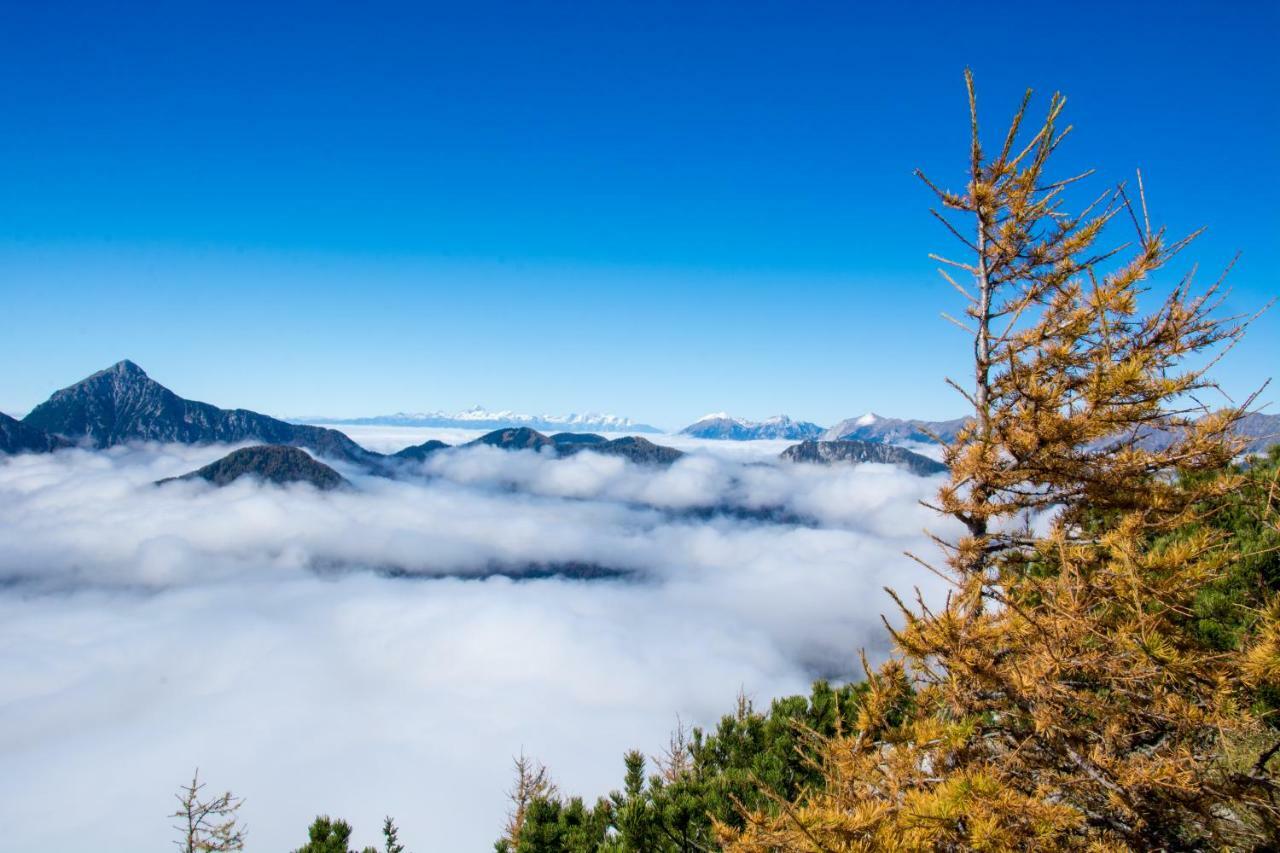 Homestay Kocka Zgornje Jezersko Esterno foto